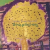 LARRY SWARTWOOD: Simplicity