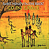 Sweet Honey in the Rock: Go In Grace