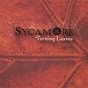 SYCAMORE: Turning Leaves