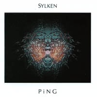 Sylken : PiNG