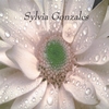 SYLVIA GONZALES: Sylvia Gonzales