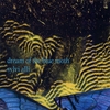 SYLVI ALLI: Dream Of The Blue Moth