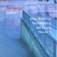 Synergy Quartet : Later