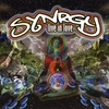 Synrgy: Live in Love