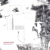 Synthetic Block : Means of Ascent