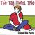 THE TAJ MOTEL TRIO: Life of the Party