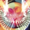 TAMMY STILLWATER, CTHP: Wings of Light - Harp Therapy for Mind, Body, and Spirit