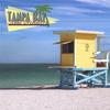 TAMPA BAY STEEL ORCHESTRA: Tampa Bay Steel Orchestra