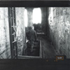 TANKT: despair ltd.