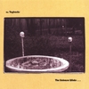 THE TAYBACKS: The Universe Winks...