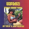 IAN TAYLOR & JOHN VALENTINE: WAPADUZI: Tropical Swingin' Review