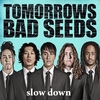 Tomorrows Bad Seeds: Slow Down - Single