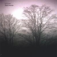 Thom Brennan : Silver