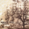 TRAMPLED BY TURTLES: Duluth