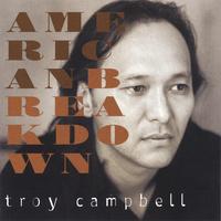 TROY CAMPBELL: American Breakdown