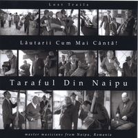 TARAFUL DIN NAIPU: Lautarii Cum Mai Cânta!