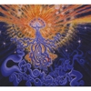 CAROMIA AND THE TEACUP ORCHESTRA: Caromia And The Teacup Orchestra