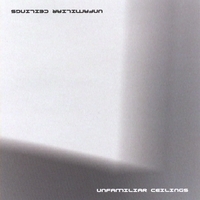 Various Artists : Unfamiliar Ceilings