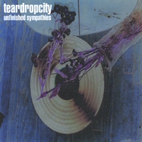 teardropcity : Unfinished Sympathies