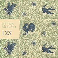 Teenage Blackout : 123