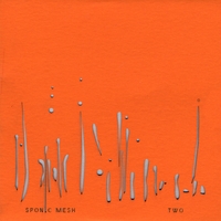 TEGLEG RECORDS VARIOUS ARTISTS: Sponic Mesh Two