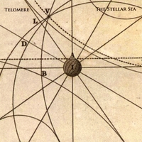 TELOMERE: The Stellar Sea
