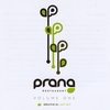 VARIOUS ARTISTS: Prana Volume One