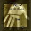 TEMPLE OF LIFE: Drive