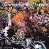TEMPORARY POWER: Temporal Distortions