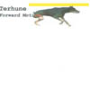 TERHUNE: Forward Motion