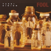 Terri Binion : Fool