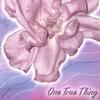 TERRI STILWELL: One True Thing
