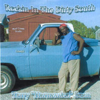 Terry Harmonica Bean : Rockin In The Dirty South