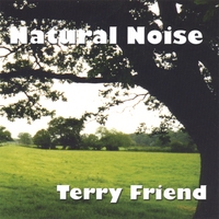 Terry Friend : Natural Noise