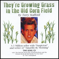 Terry Stafford : They're Growing Grass In The Old Corn Field