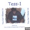 TESS-1: You Can't Blame Us
