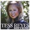 TESS REYES: Where It Belongs