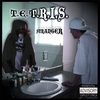 T.E.T.R.I.S.: Stranger