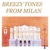 TETSU & MASAKI:PIANO DUO: Breezy Tones From Milan
