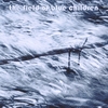 THE FIELD OF BLUE CHILDREN: The Field of Blue Children