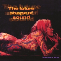 The Future Shape Of Sound : Mad DNA Mud