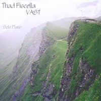 Thad Fiscella : VAST