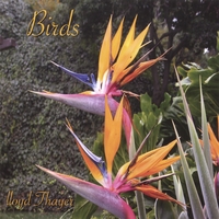 lloyd Thayer : Birds