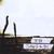 THE 48: Sellotape for the Soul