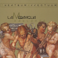 Theatrum Affectuum : La meraviglia parlante