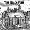The Black Flies: Middle Of The Night