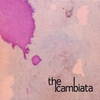 THE CAMBIATA: The Cambiata