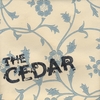 THE CEDAR: I'm Always Explaining to Mom How It's Different Here