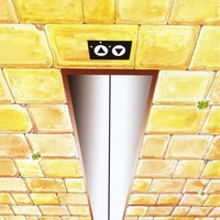 The Elevators : Olim