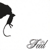 THE FEED: The Feed